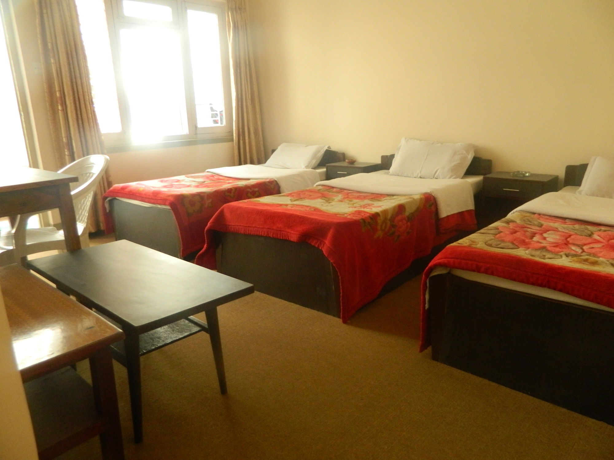 Om Tara Guest House Pvt Ltd Kathmandu Exteriör bild